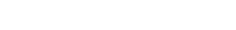 Strata Sentry Logo WHITE