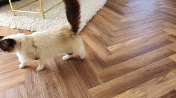 Herringbone Smooth Oak High Noon 16