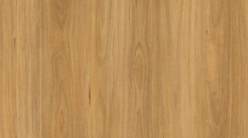 Strata Inspire Blackbutt